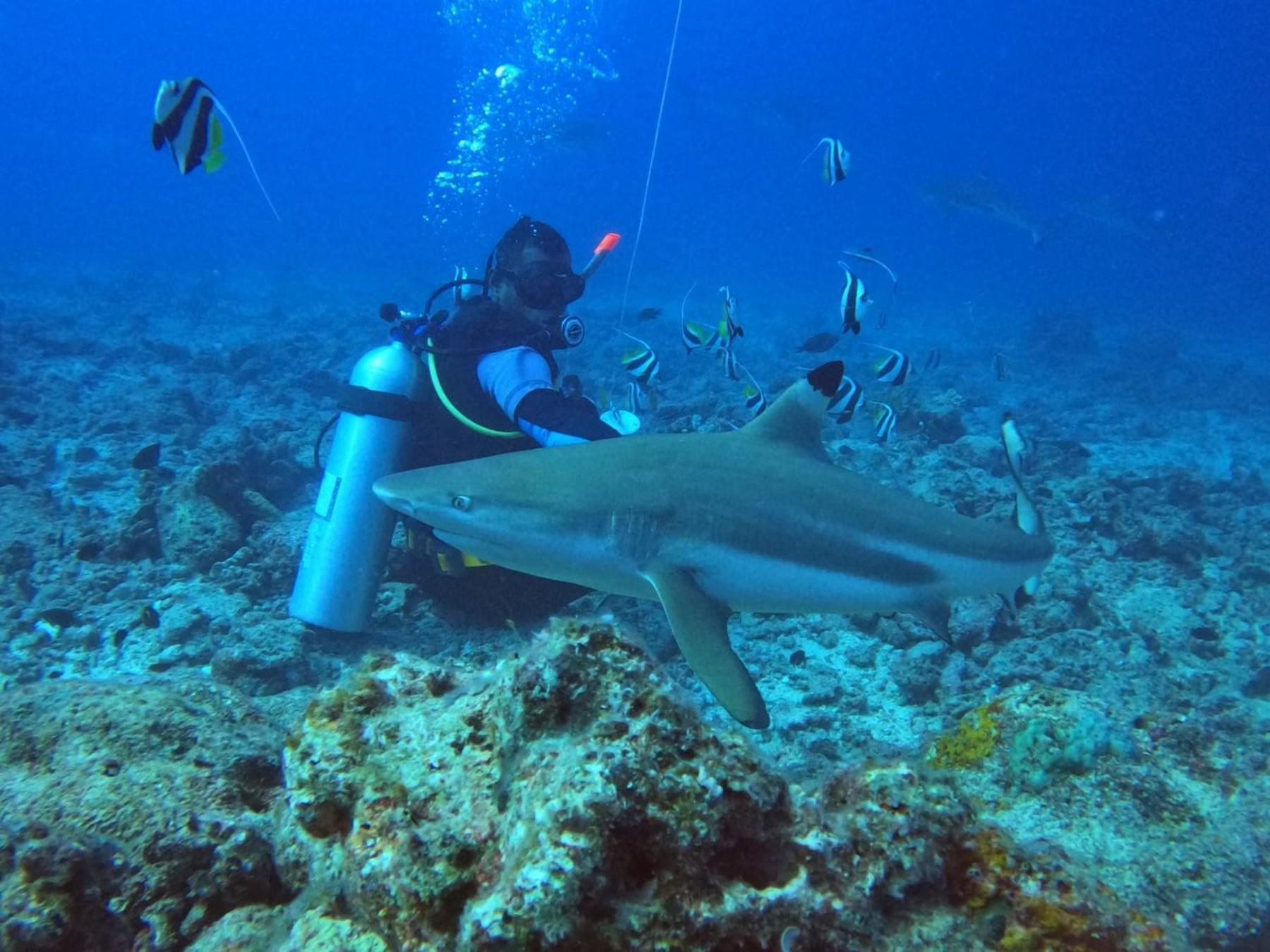 Ratu Kini Dive & Stay Mana Island Exterior foto